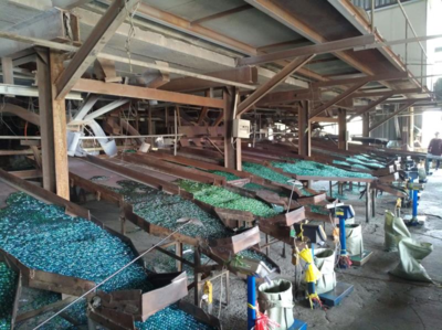 海曙區創新實踐 寧波首個資源再生小區引領變廢為寶新風尚