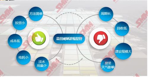 鹽湖鋰資源 稟賦優(yōu)勢、提鋰技術(shù)趨勢與資源再生利用