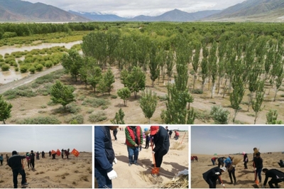 馳騁戈壁，守護(hù)生靈 奇瑞汽車科考公益行動與資源再生技術(shù)研發(fā)的雙重使命